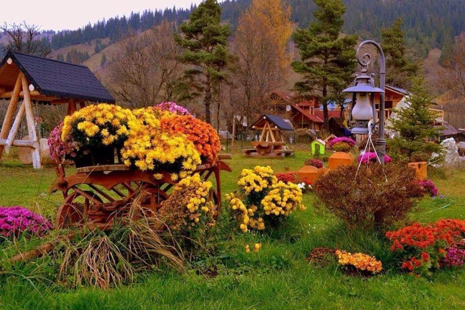 Отель Casa Baciu Фунду Молдовей Экстерьер фото
